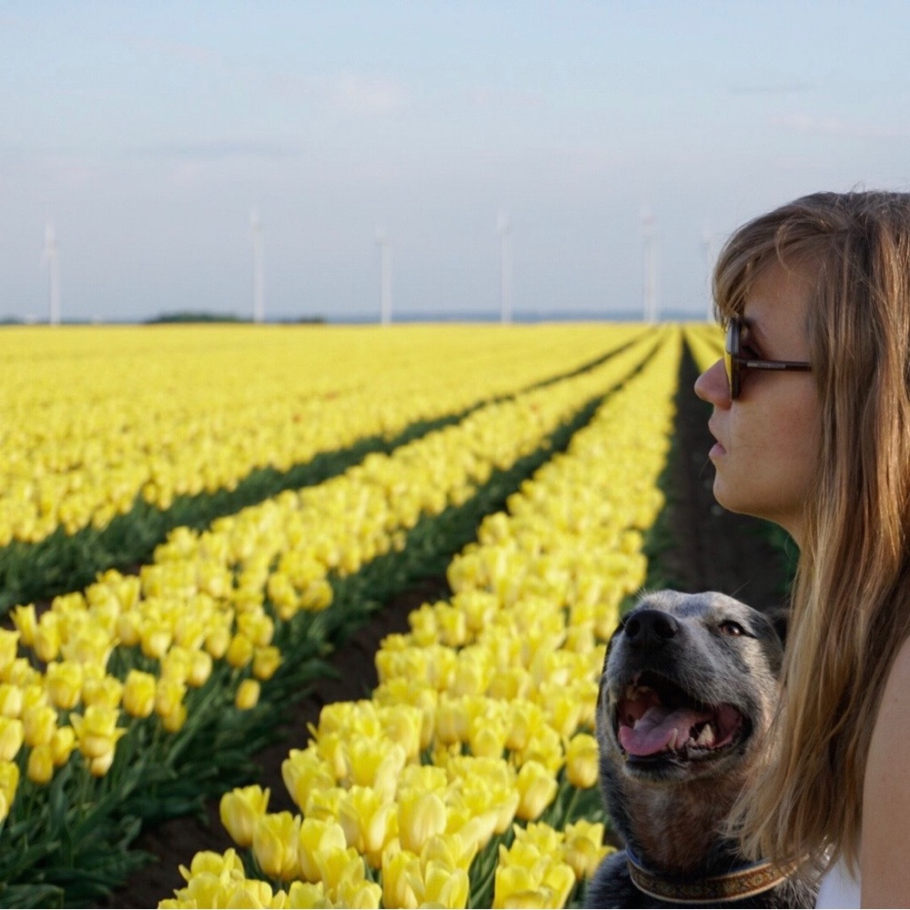 Meet your Posher, Dagmar